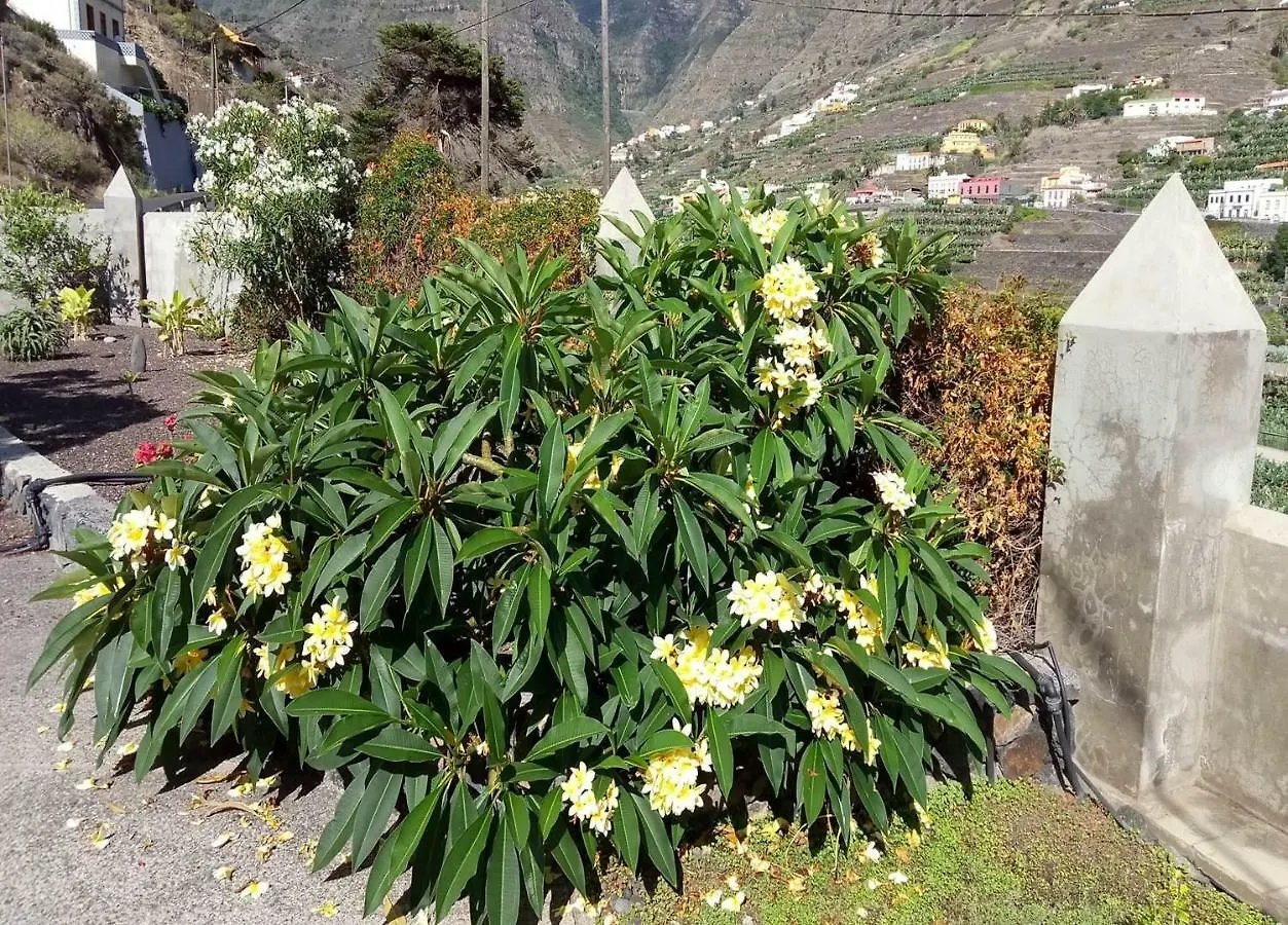 Gomera Garden. Vista Mar Altozano Hermigua 0*,